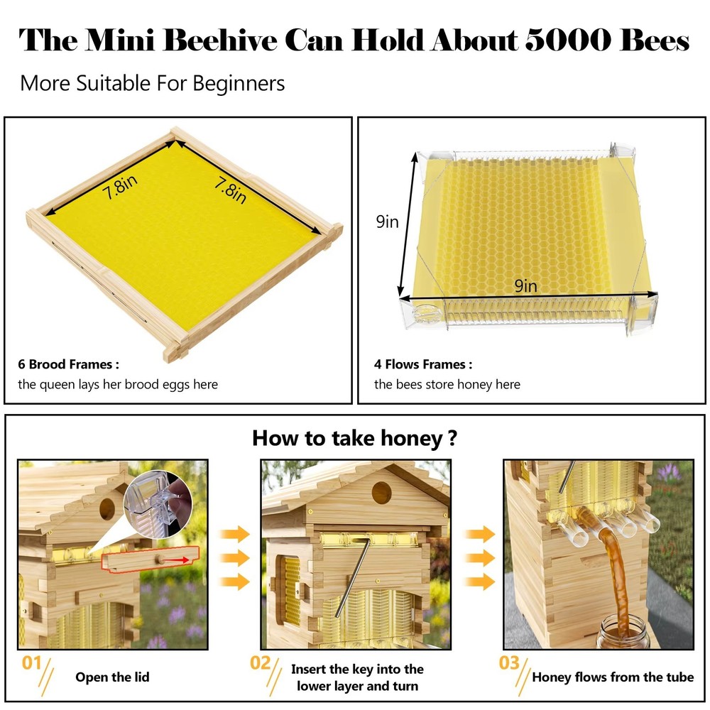 Bee Hives Boxes Starter kit with 4 Flow Bee Hive Frames