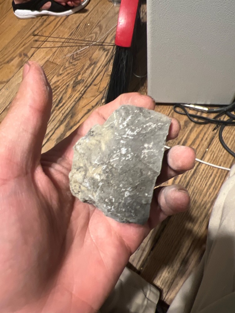 fossils other