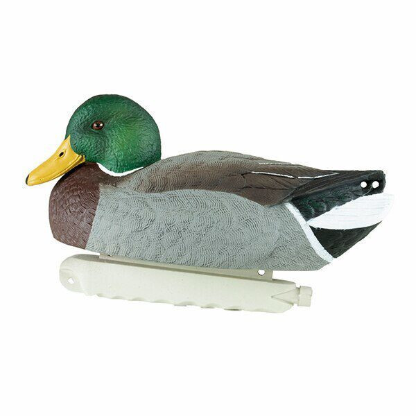 Cupped Waterfowl Finishing Mallards