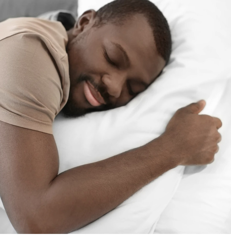 Creative Bedding Fossfill Antibacterial Pillows
