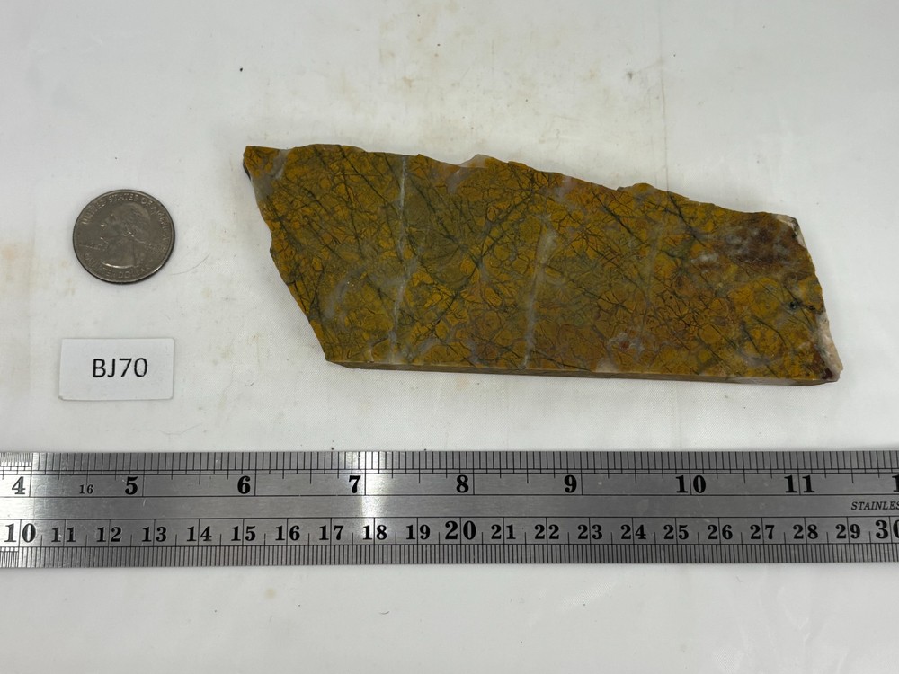Brecciated Jasper Slab Cabbing Lapidary Combo Ship Available