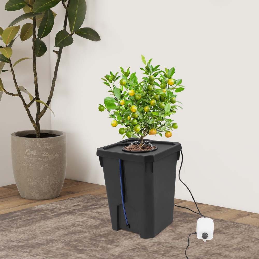 Hydroponics Growing Culture Bucket System Recirculating Drip Garden System