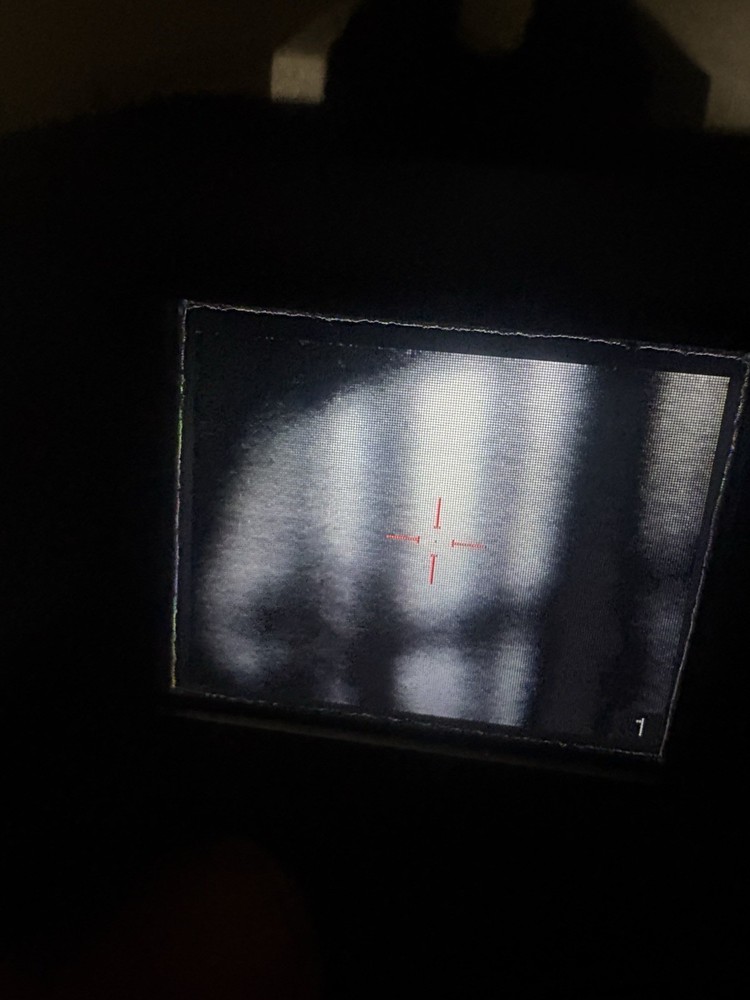 SIG Echo thermal reflex sight