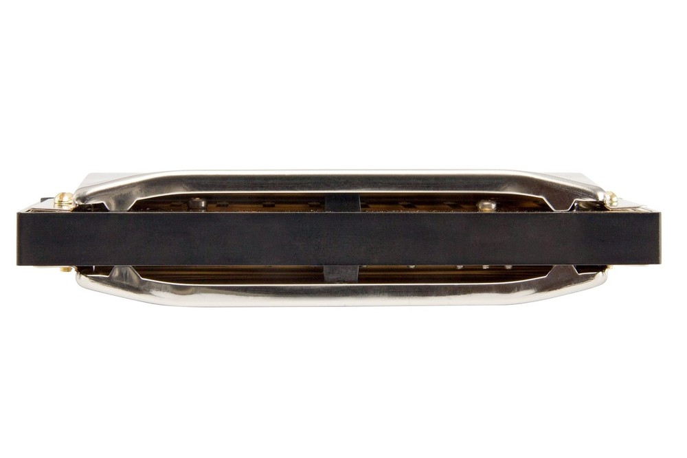 Hohner Special 20 Diatonic Harmonica, C-major - Professional, Responsive Reed...