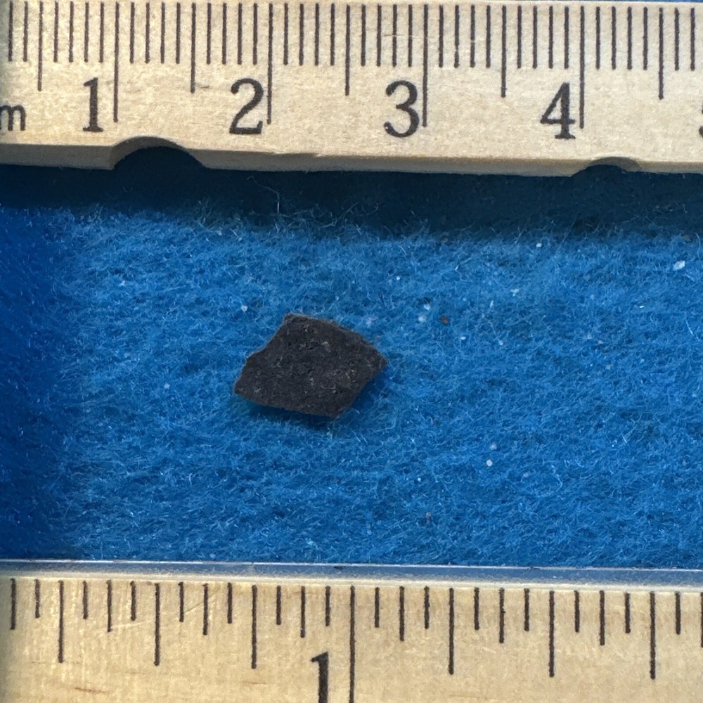 Dinosaur Eggshell Fossil from Late Jurassic with Display Case