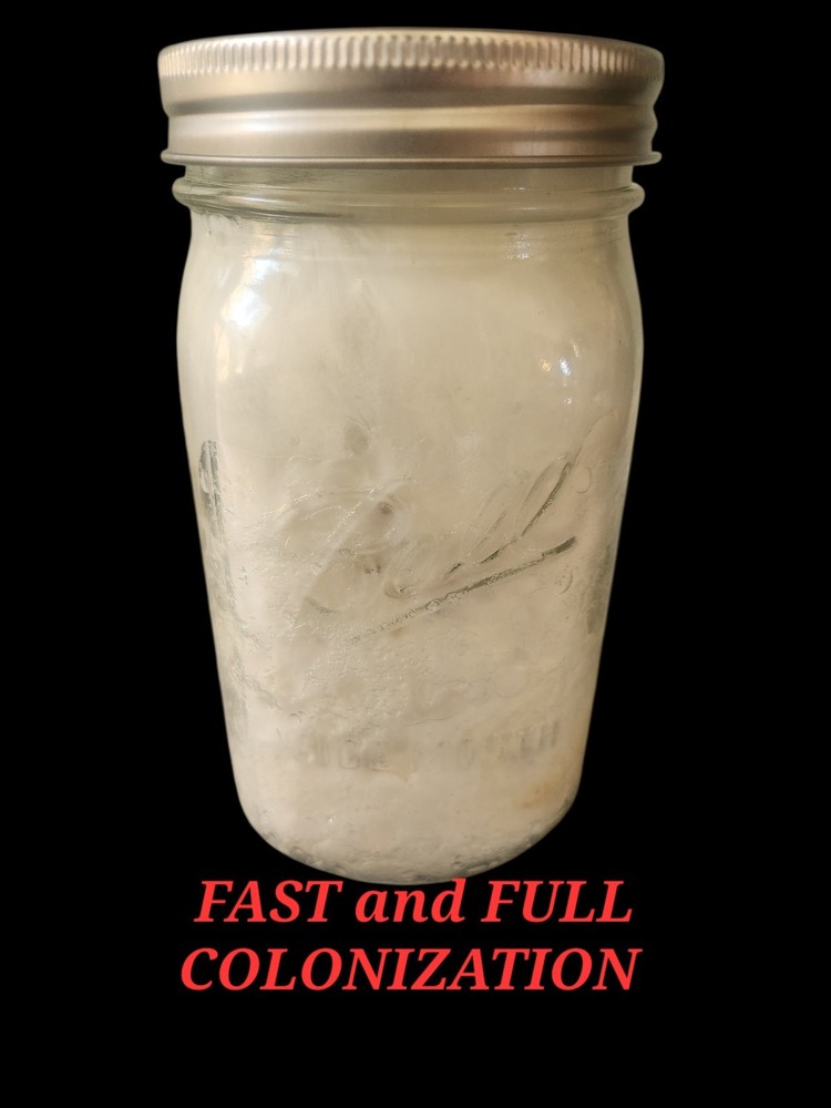 Mushroom Grain Spawn, Sterilzed 2 Quarts, Uninoculated