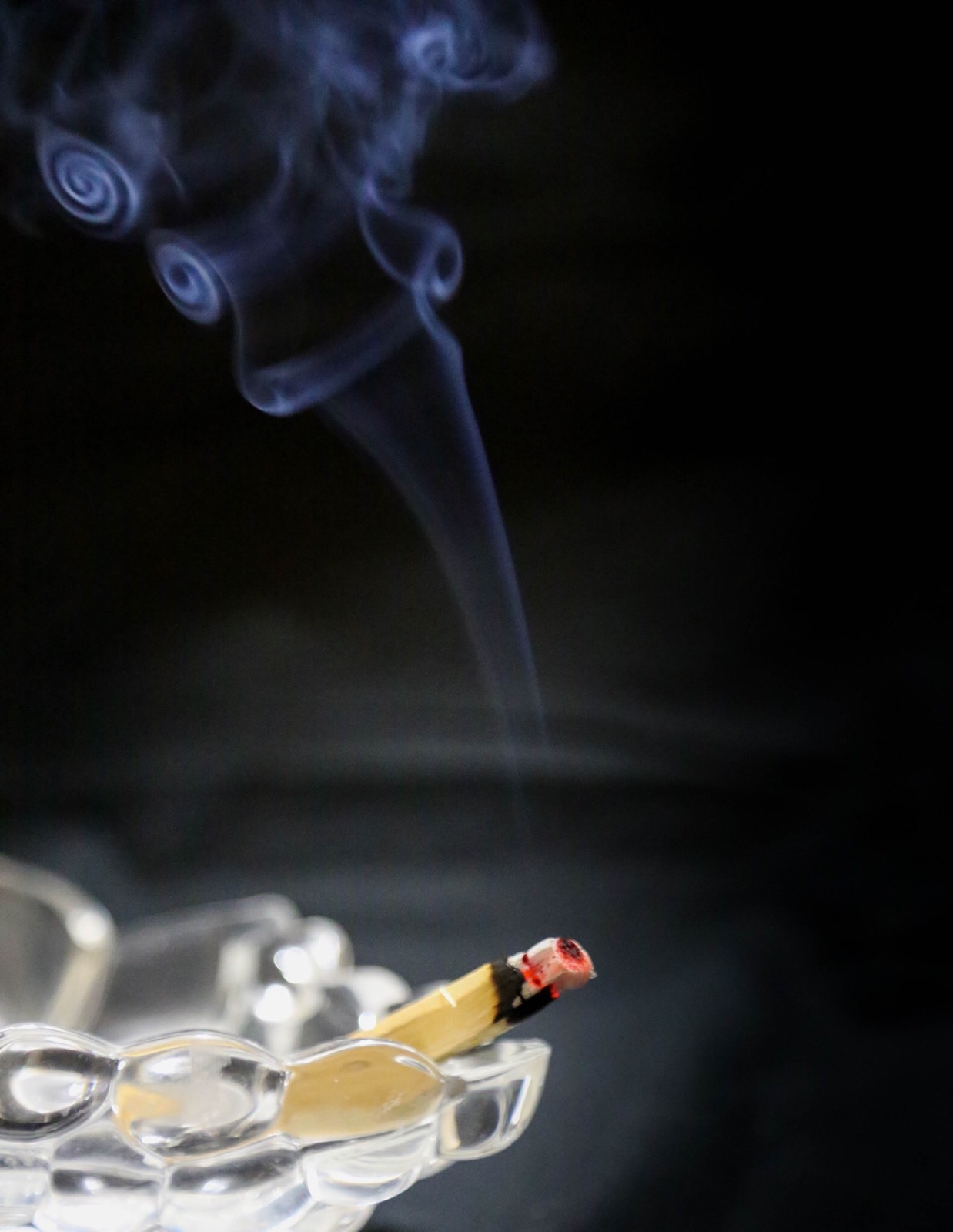 Palo Santo Incense 38 (STICKS APPROX) 1/2 lb SIZE BAG(4+inches long)