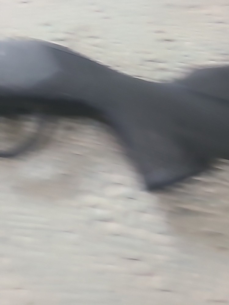 Traditions Thunderbolt .50 Cal. Inline Muzzleloader Synthetic Stock