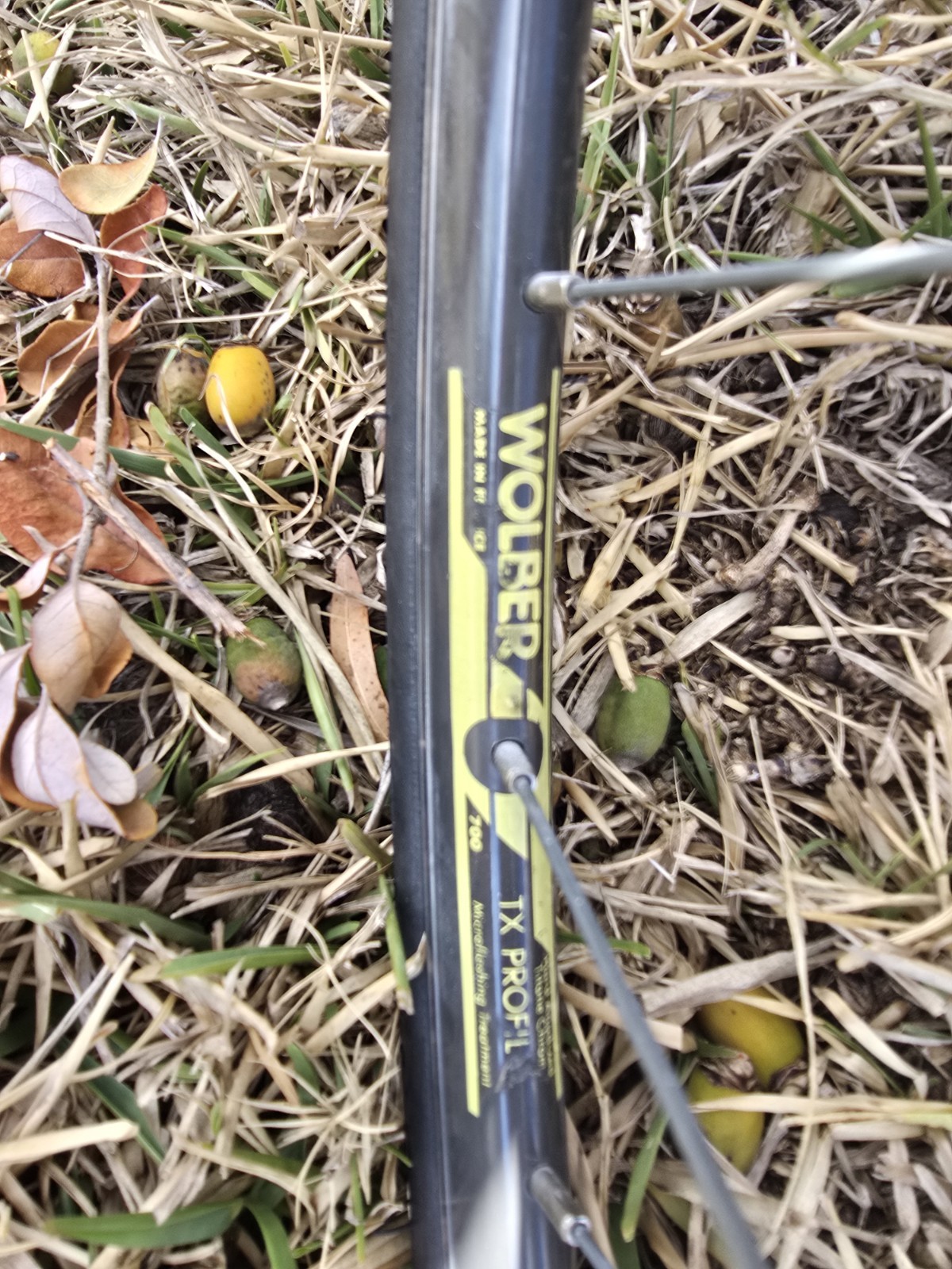 Gianni Motta Bike with Campagnolo Parts 53cm