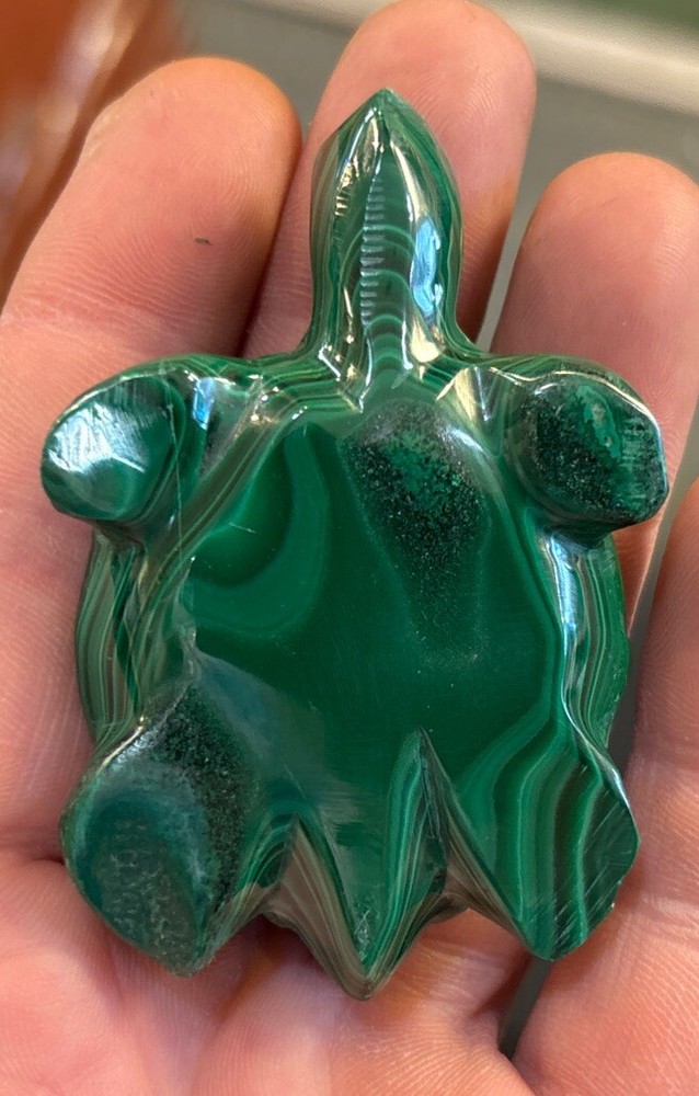 2” Malachite Turtle