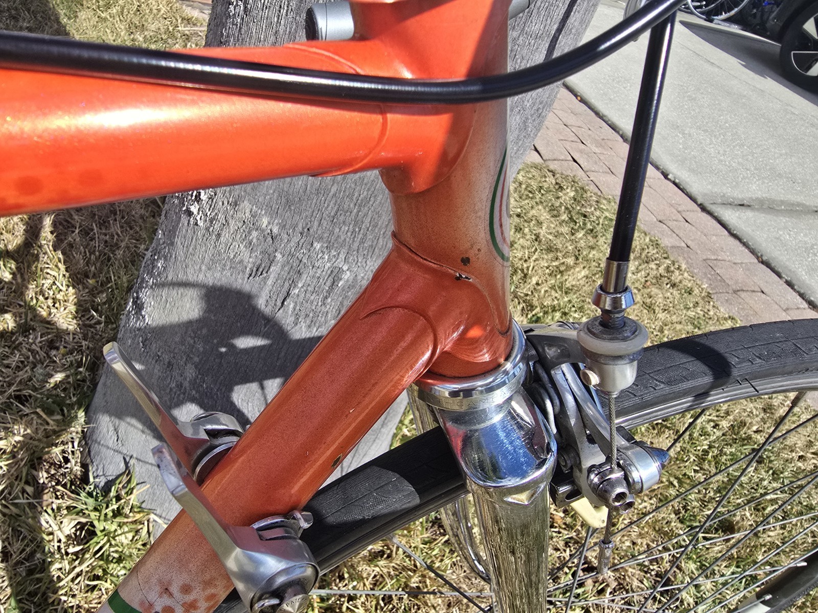 Gianni Motta Bike with Campagnolo Parts 53cm