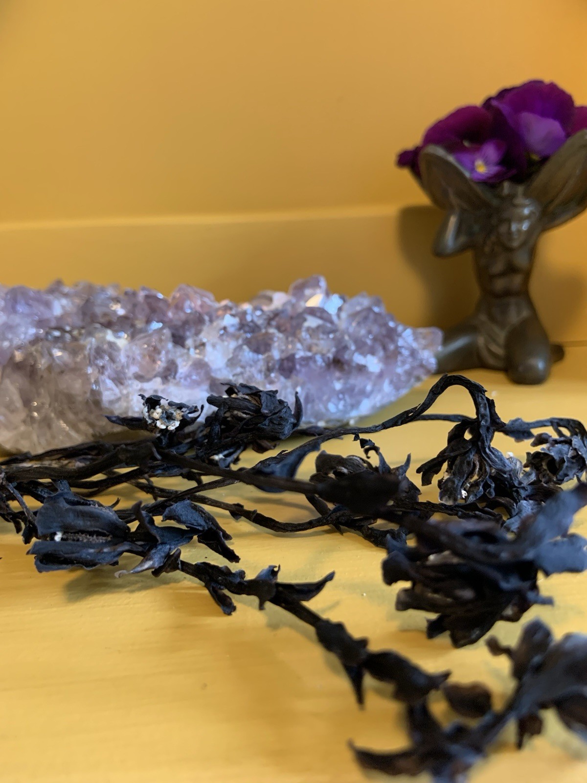 Dried Ghost Pipe Indian Pipe Whole Flowers Box of 12