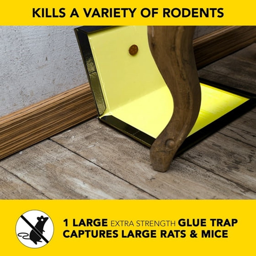 Harris Super-Sized Glue Trap for Rats & Mice