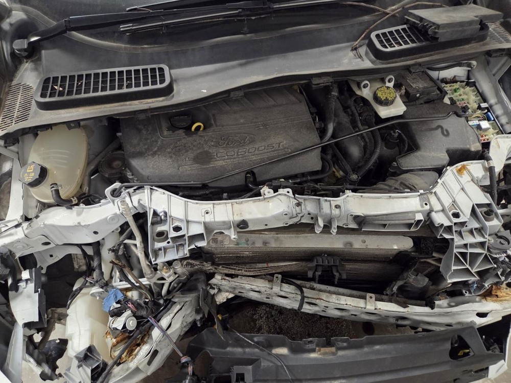 ESCAPE 2018 Jack 1553575