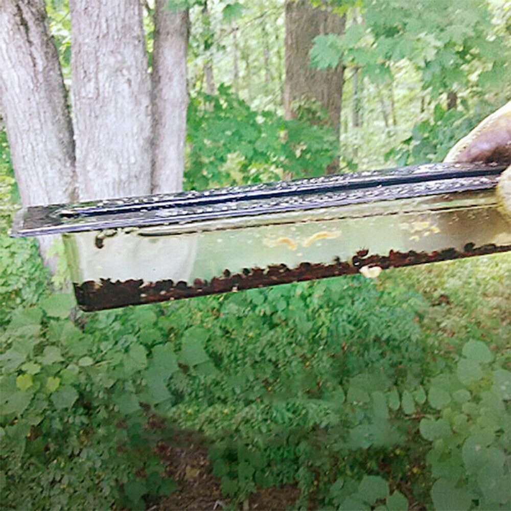 40X Black Small Bee Hive Beetle Blaster BeeHive Beetle Trap Beekeeping Tool EAA