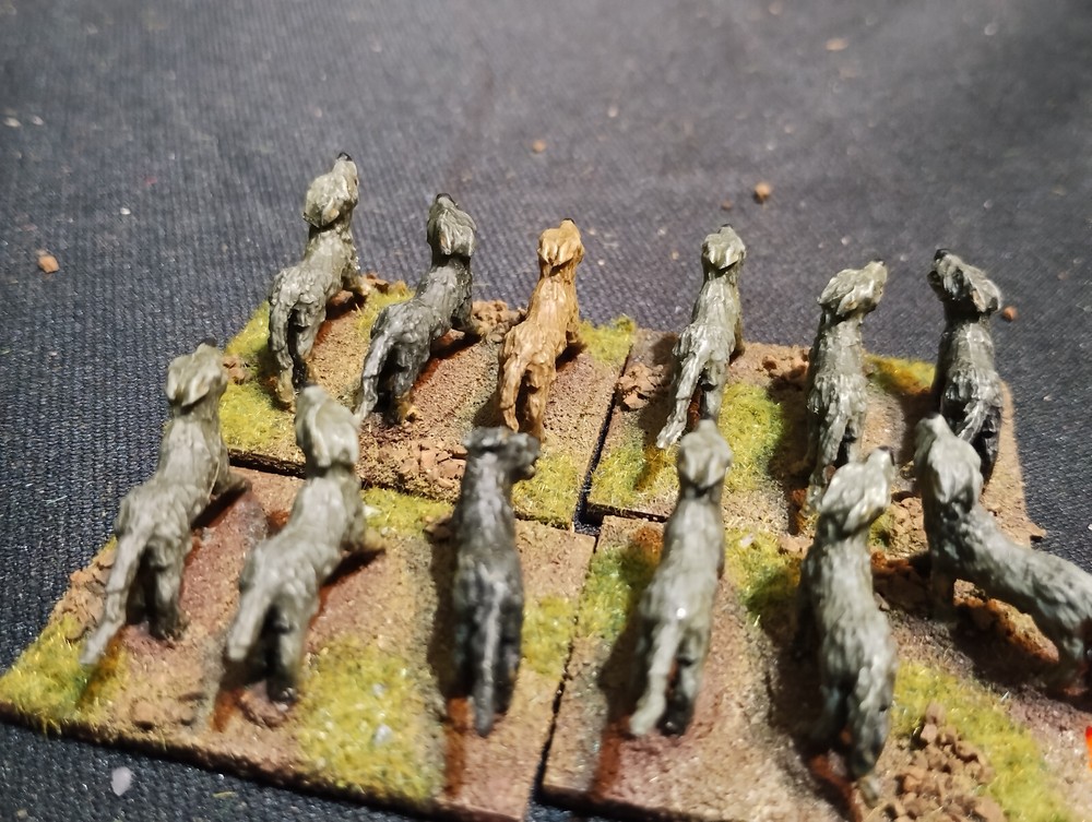 15mm Large Wolves Wargs lot 2
