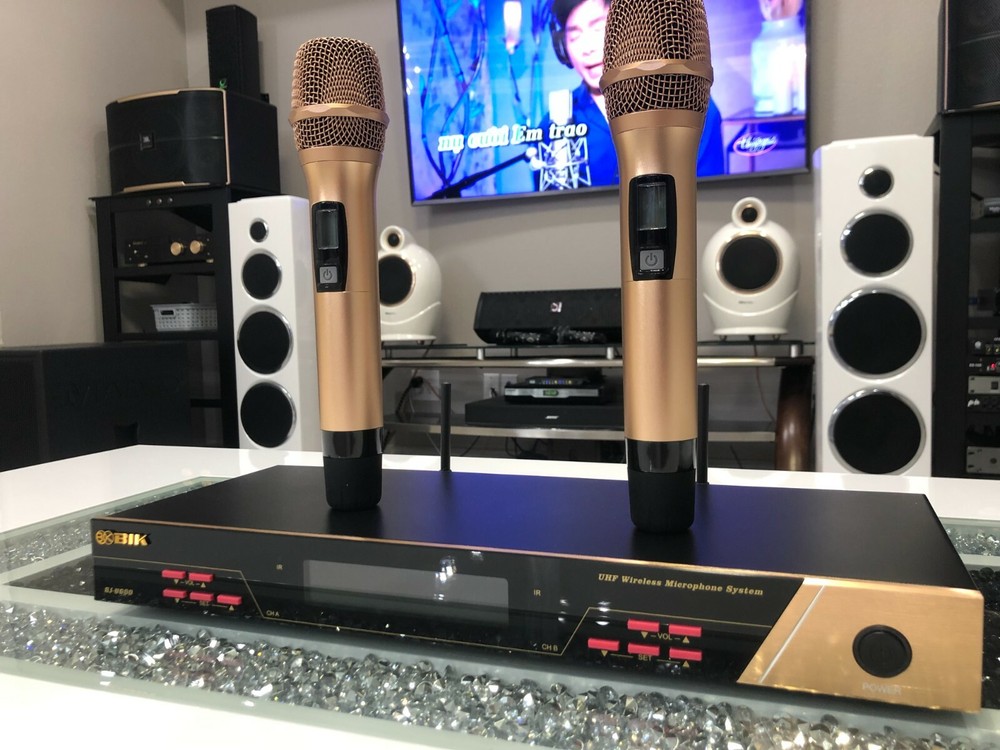 BIK BJ-U600 Wireless Microphone System (Japan)