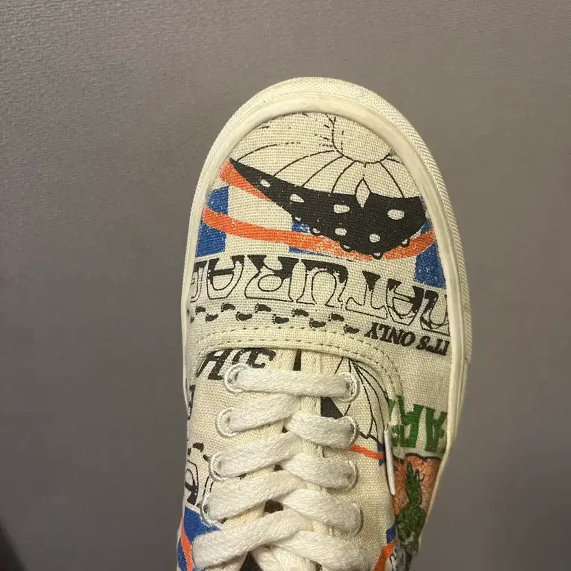 Vans Authentic Earth Graphic Sneakers