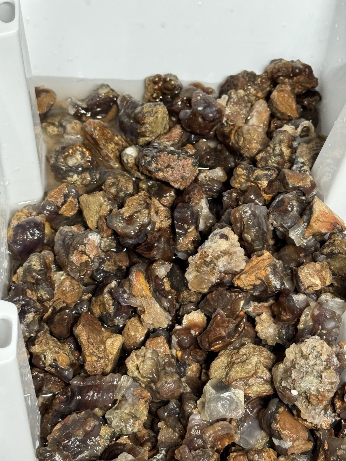 1/2 Lb Mid to Choice Grade Fire Agate Smalls Untreated Colorful Blind Grab Rough