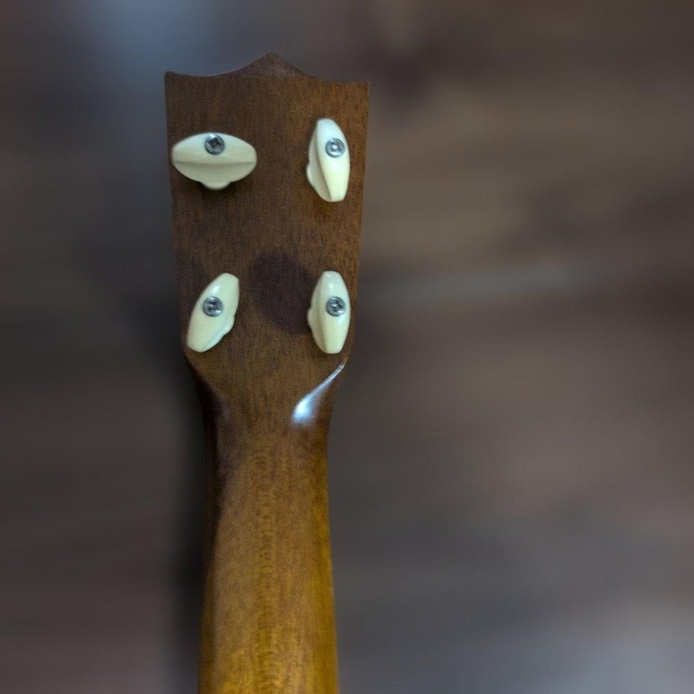 Famous Ukulele FS-1 with case
