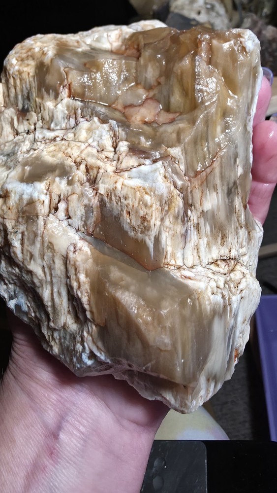 agatized petrified wood 3pc. Lot