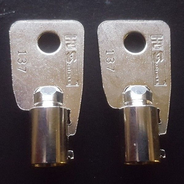 2 KEYS SENTRY SAFE KEY CODE CUT 2001-2100 Tubular Round Ace Key COT TO YOUR CODE
