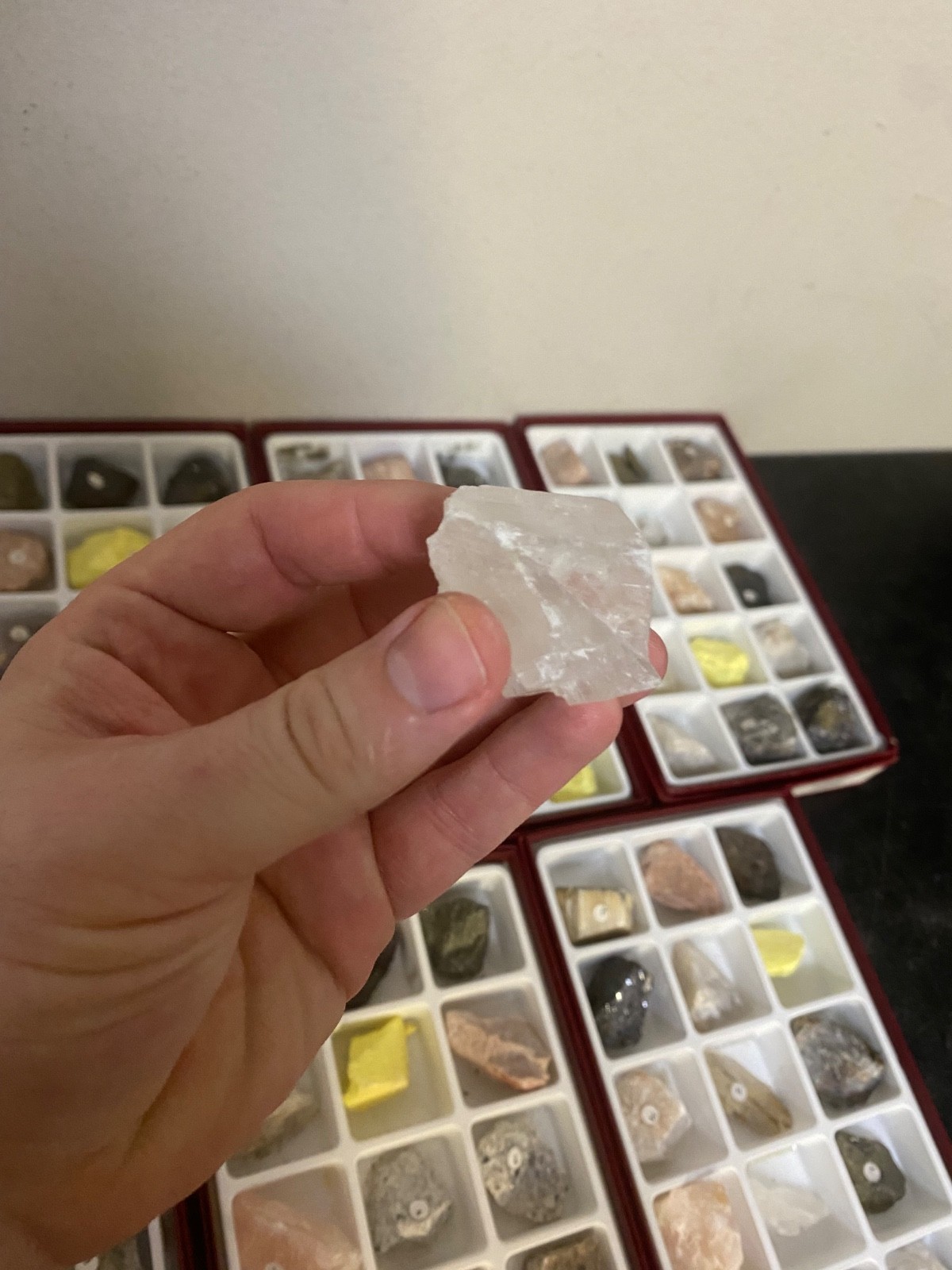 Scott Resources Fossil Rock Mineral Collection for Classroom Geology Educational