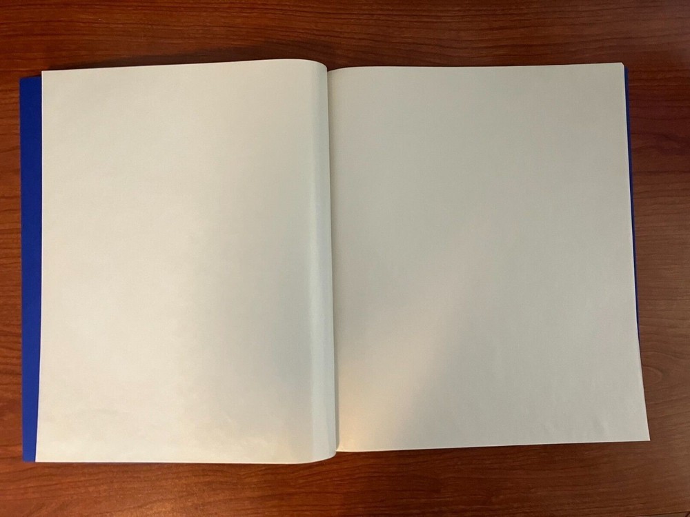 Meghrig Double Mint Sheet File - 24 Sheet Capacity - BLUE