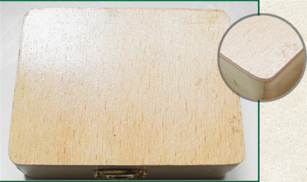 Microscope Slide Storage Wooden Box Specimen Holding Storage Case with Lock