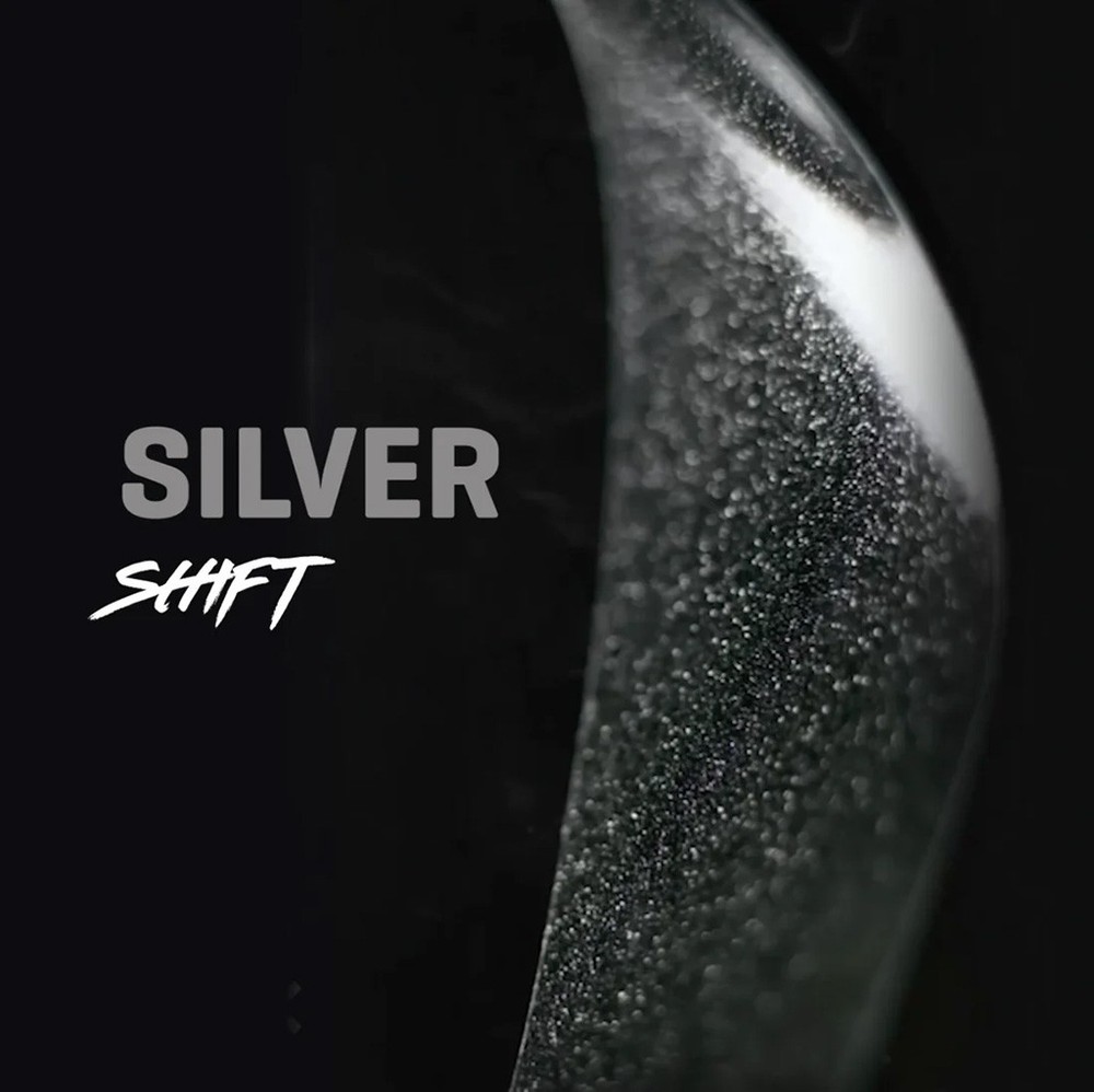 Universal Silver Shift Gloss Fork Keeper Kit for Seamless Fork Protection
