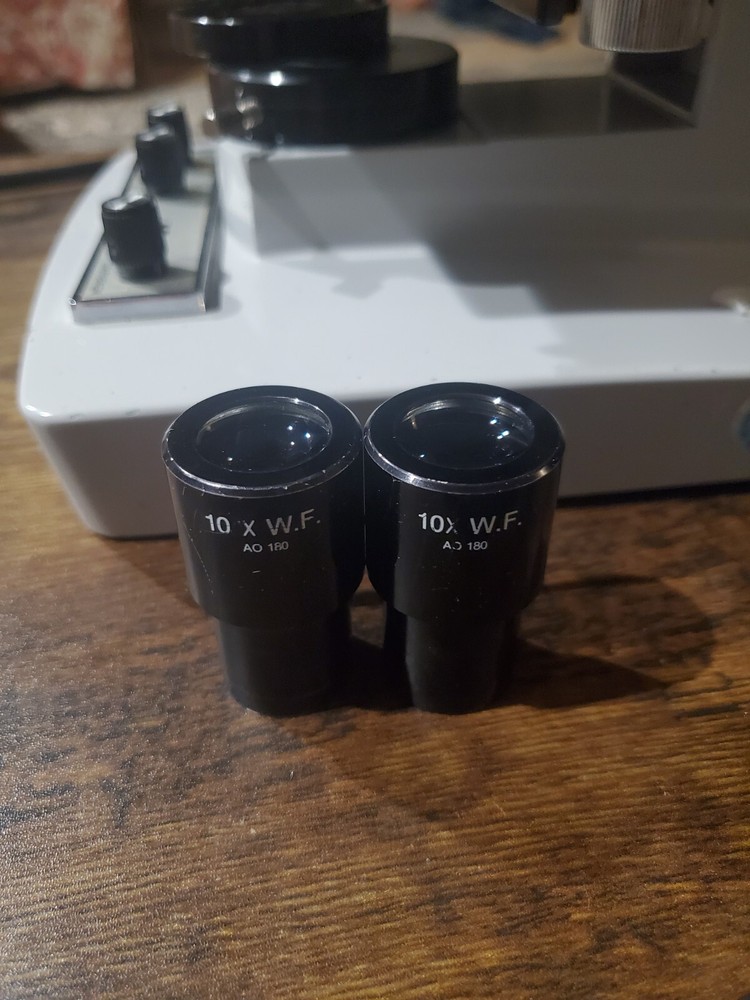 Microscope American Optical One-Ten MicroStar Dual Head w/4 Objectives