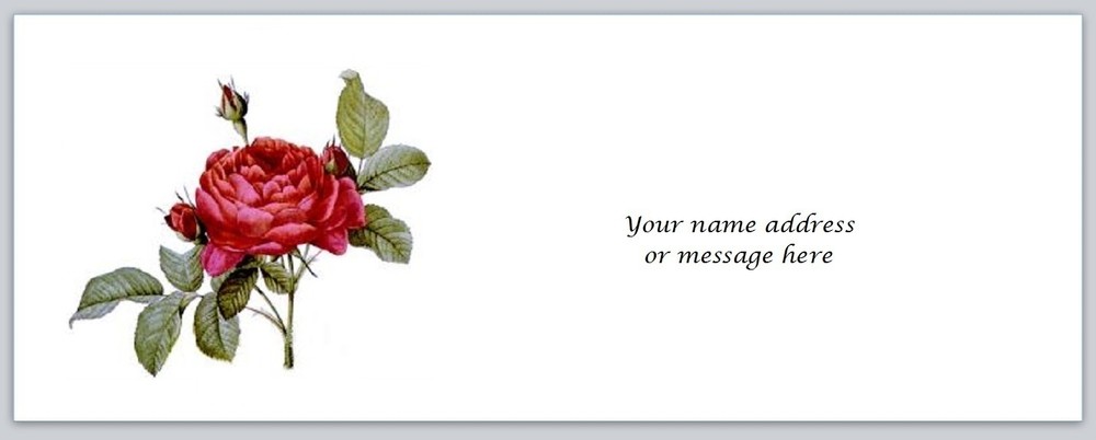 Personalized Address Labels A single Red Rose (BO 709)