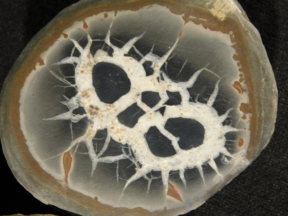 Larger! Split and Polished SEPTARIAN Nodule from Morocco 226gr