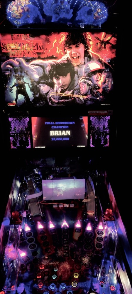 Stranger Things Pinball rectangular Speaker Inserts Stern