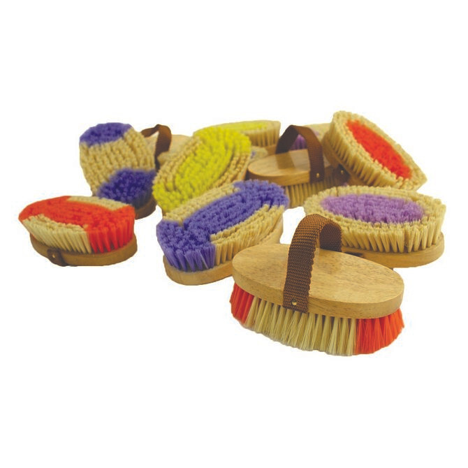 PonyExpress LadyBug Brush