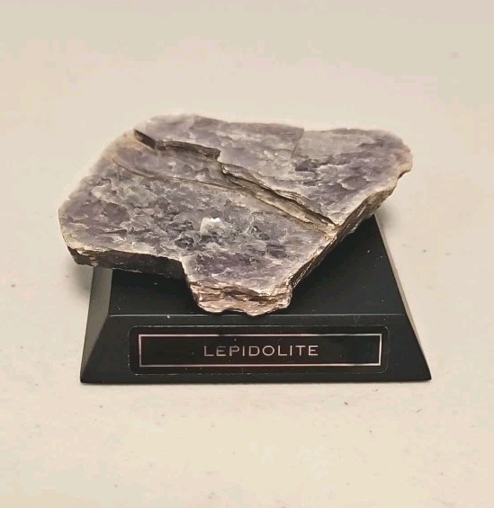 Precious Rock Collection With Display Case- Includes 16