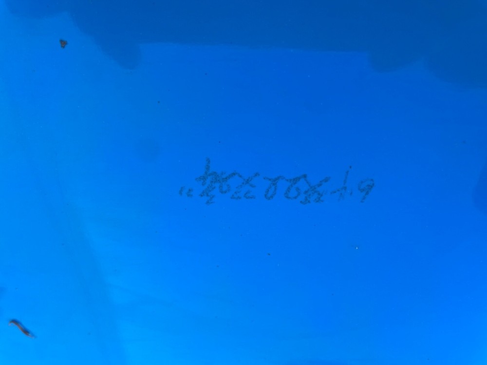 Michael Dolsey Designs 6.2 Fish Surf board