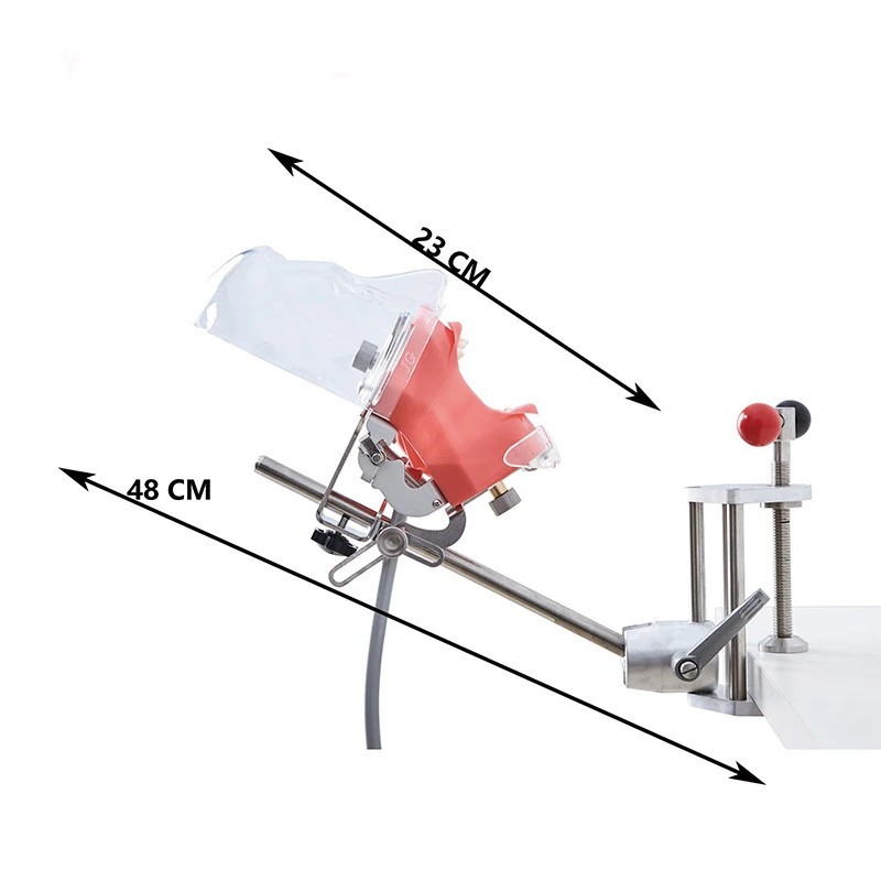 Dental Phantom Mannequin Head Simulator with Typodont Teeth Model for Training