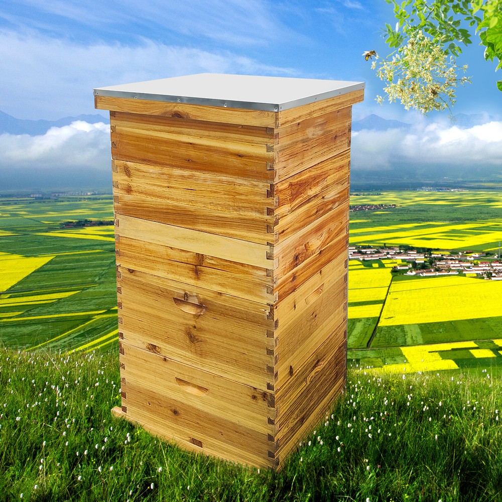 Complete Langstroth Beehive Kit - 2 Deep & 3 Medium Boxes - No Frames