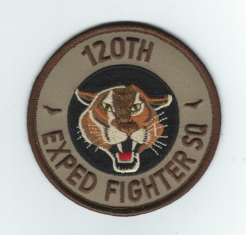 120th EXPEDITIONARY FIGHTER SQUADRON desert patch