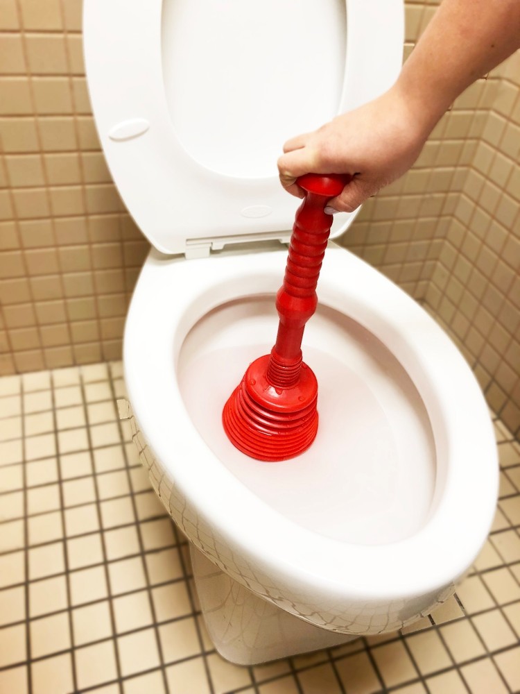 THEWORKS Master Plunger