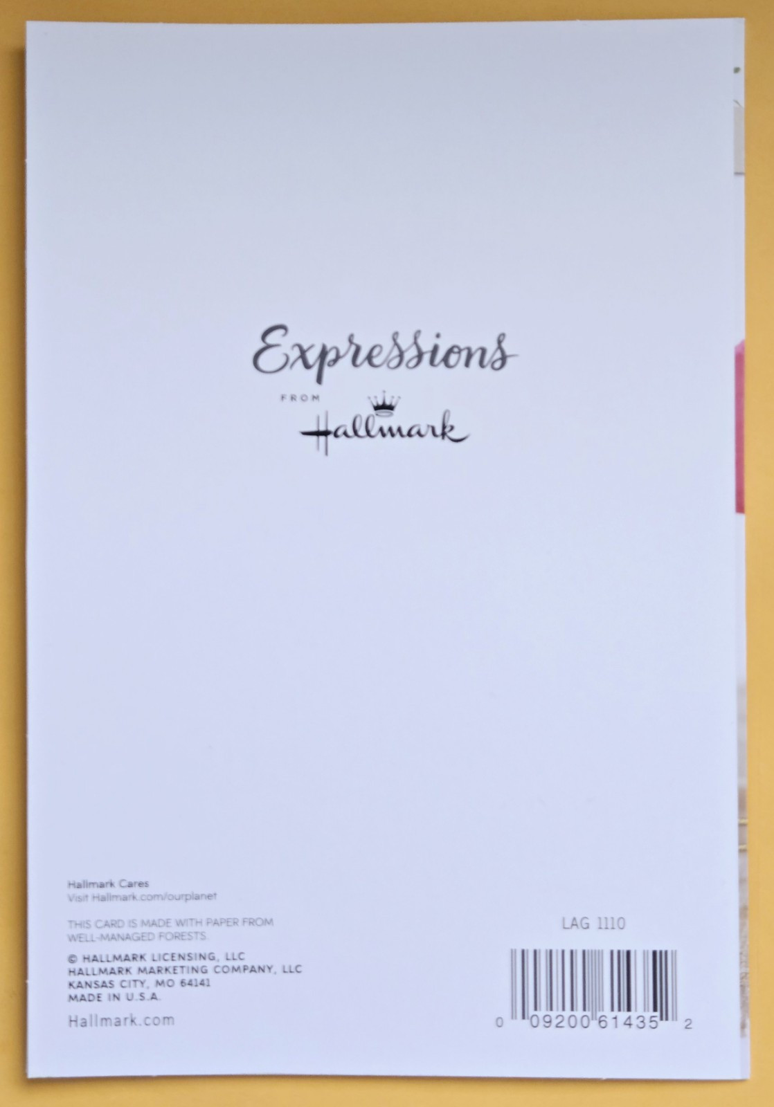 Sister Happy Birthday Large Format Greeting Card 5.5x8.0" (+ Envelope)