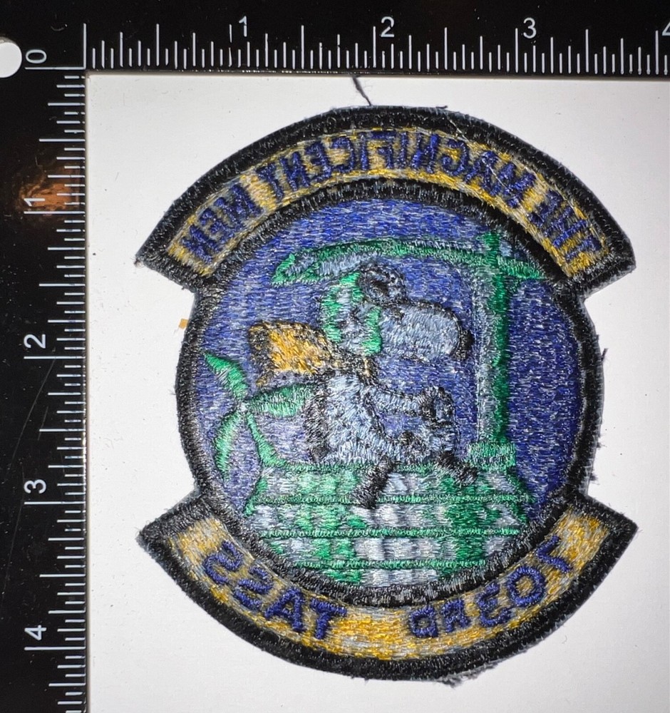 USAF US Air Force 703rd TASS Tactical Air Support Squadron Patch