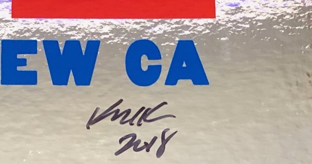 PIXIES Concert Poster 2018 Mountain View Foil Variant Frank Kozik