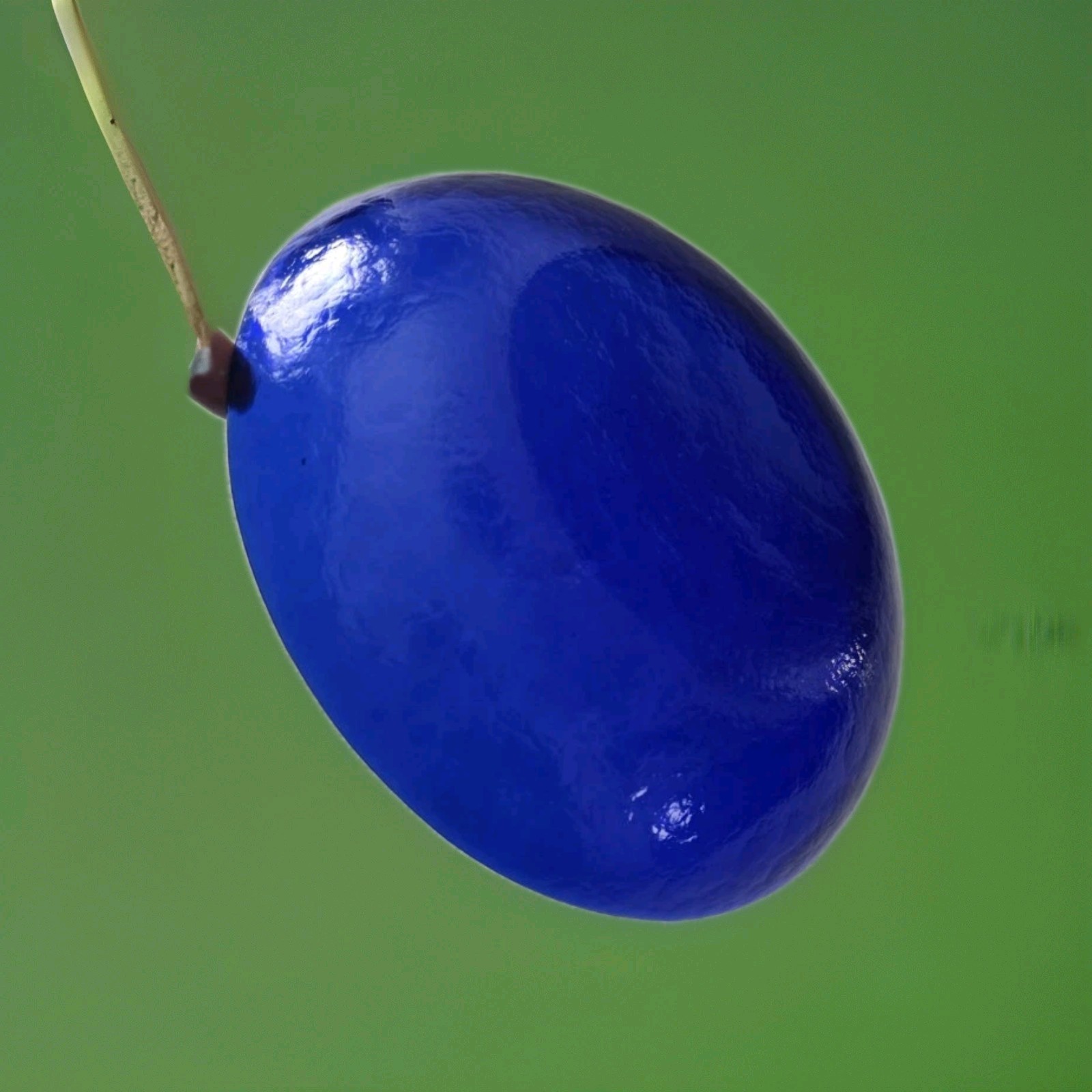 Cobalt Blue ,Pottery Barn 8.5" Glass Coupe Pasta Bowl - Pebbled Textured