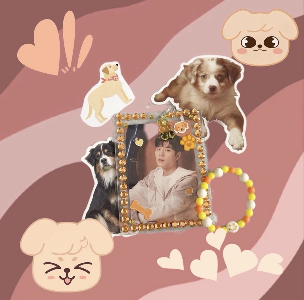 PuppyM StrayKids Bias Pack