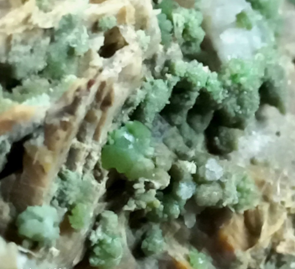 Pyromorphite Sardinia