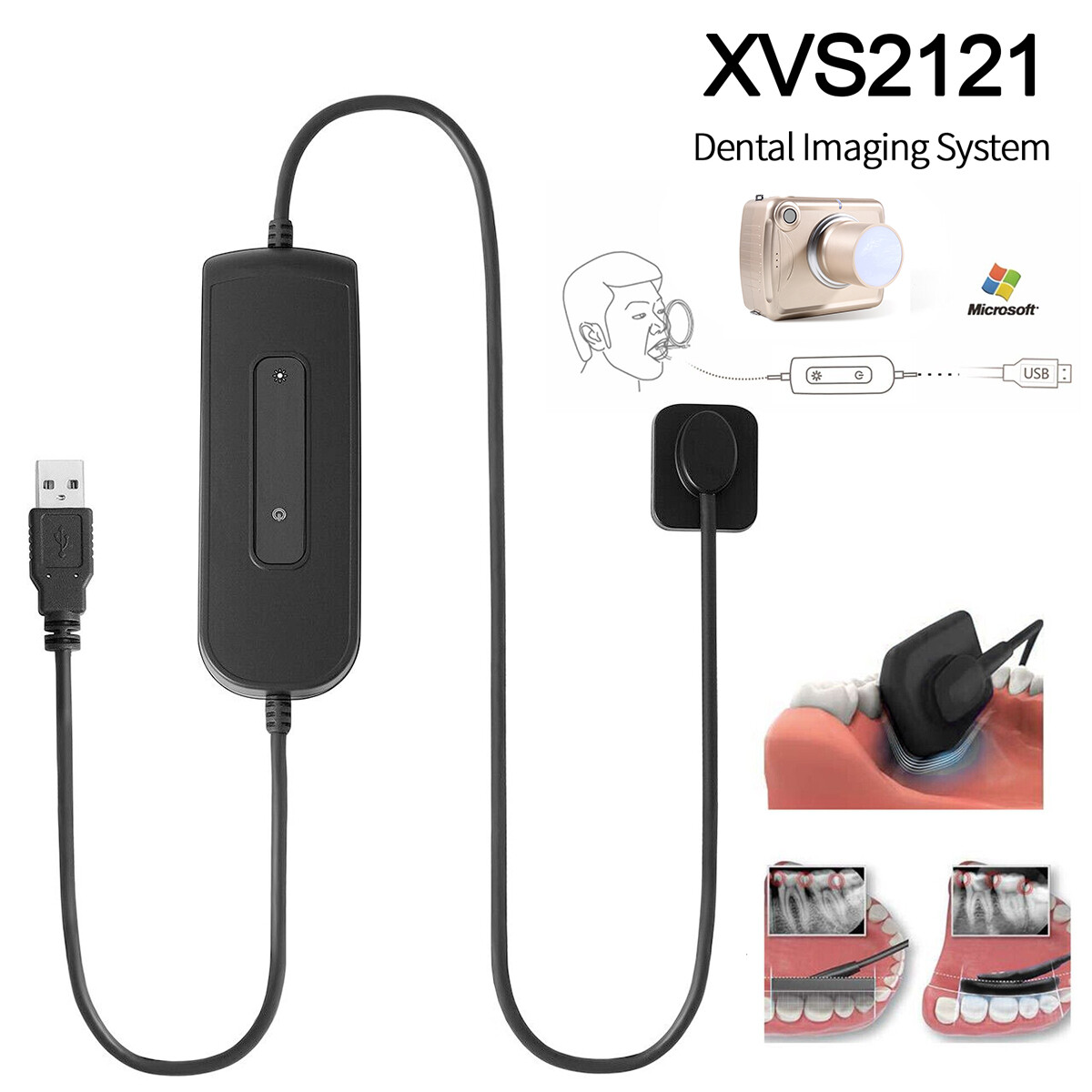 Dental X Ray Imaging System RVG Digital X-Ray Sensor Size 1.0 Holder