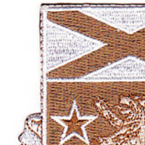 136th Infantry Regiment Patch - Desert