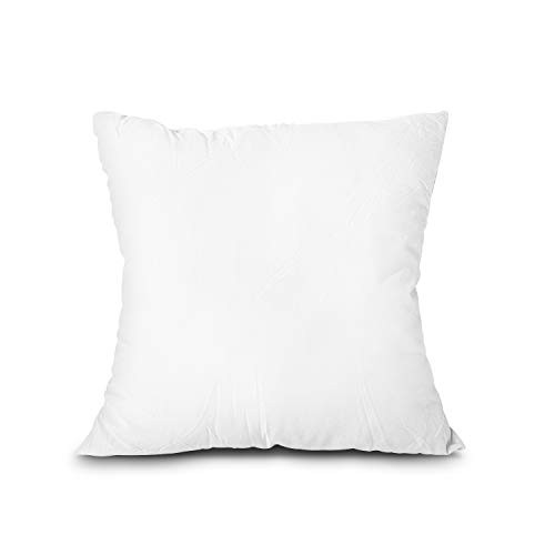 EDOW Throw Pillow Insert, Lightweight Soft Polyester Down Alternative 28"x28"